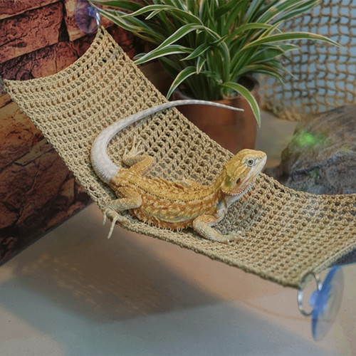 Hanging lizard hammock - hanging,